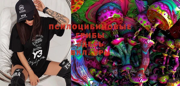 твердый Мегион