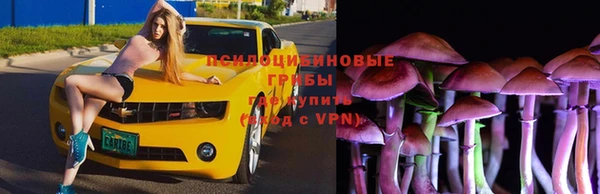 экстази Медвежьегорск