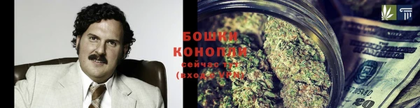 твердый Мегион