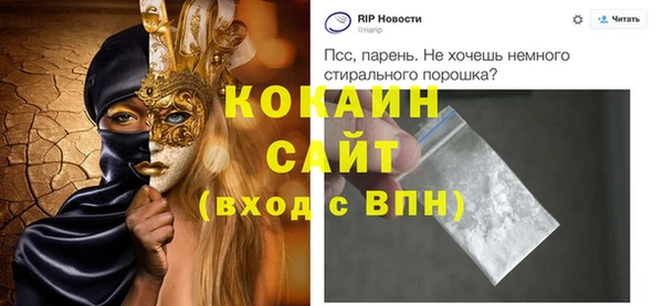 твердый Мегион